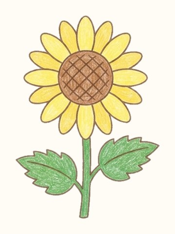 ひまわり（362×503px）