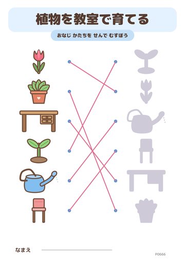 植物を教室で育てる こたえ