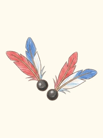 羽根つきの羽根2つ（338×240px）